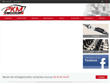 Tablet Screenshot of pkm-consulting.com